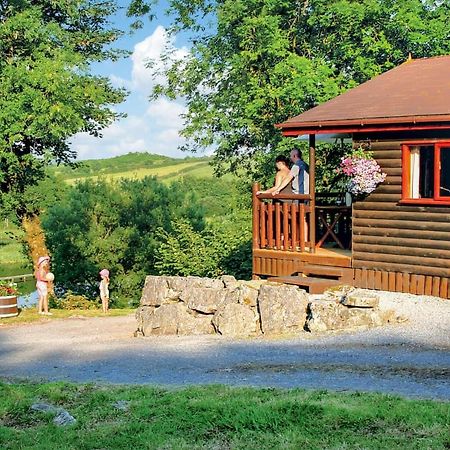 Garnffrwd Park 호텔 Llanddarog 외부 사진