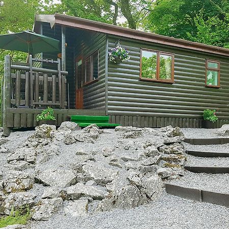 Garnffrwd Park 호텔 Llanddarog 외부 사진