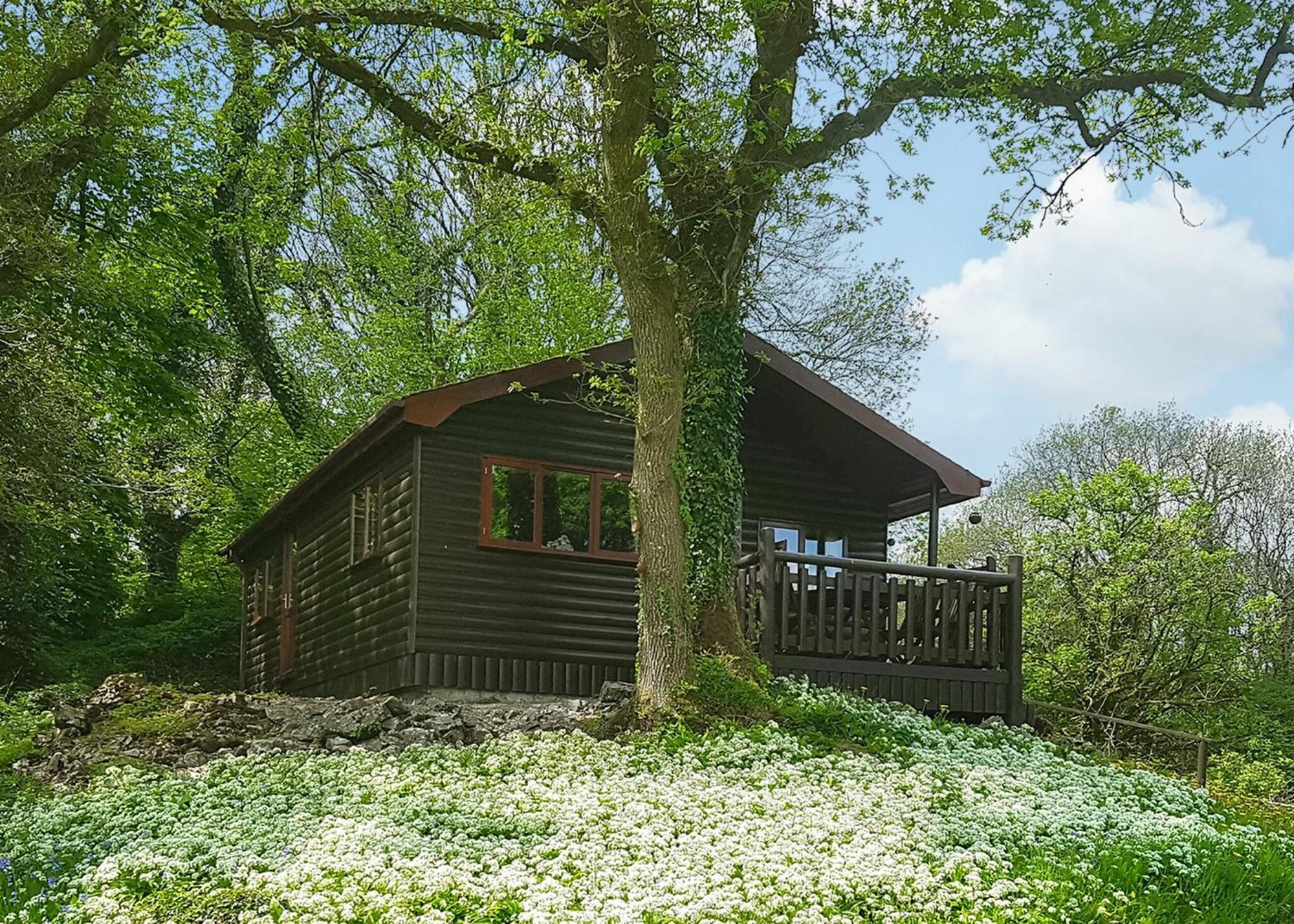 Garnffrwd Park 호텔 Llanddarog 객실 사진
