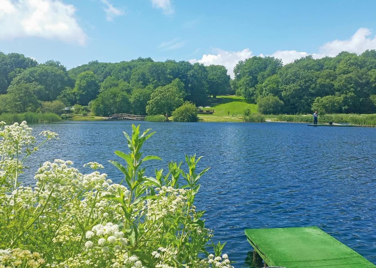 Garnffrwd Park 호텔 Llanddarog 외부 사진