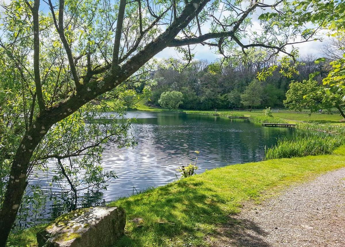 Garnffrwd Park 호텔 Llanddarog 외부 사진